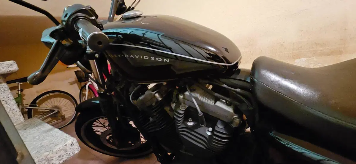 Harley-Davidson 1200 Roadster (2006 - 08) - XL 1200R (8)
