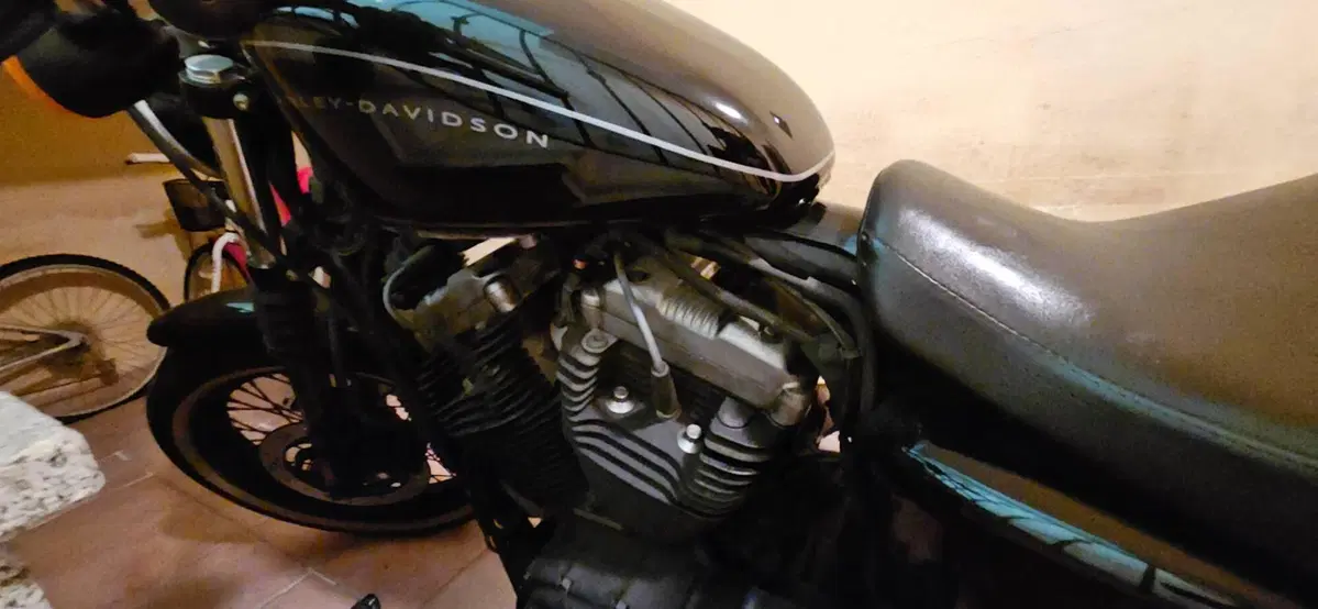 Harley-Davidson 1200 Roadster (2006 - 08) - XL 1200R (9)