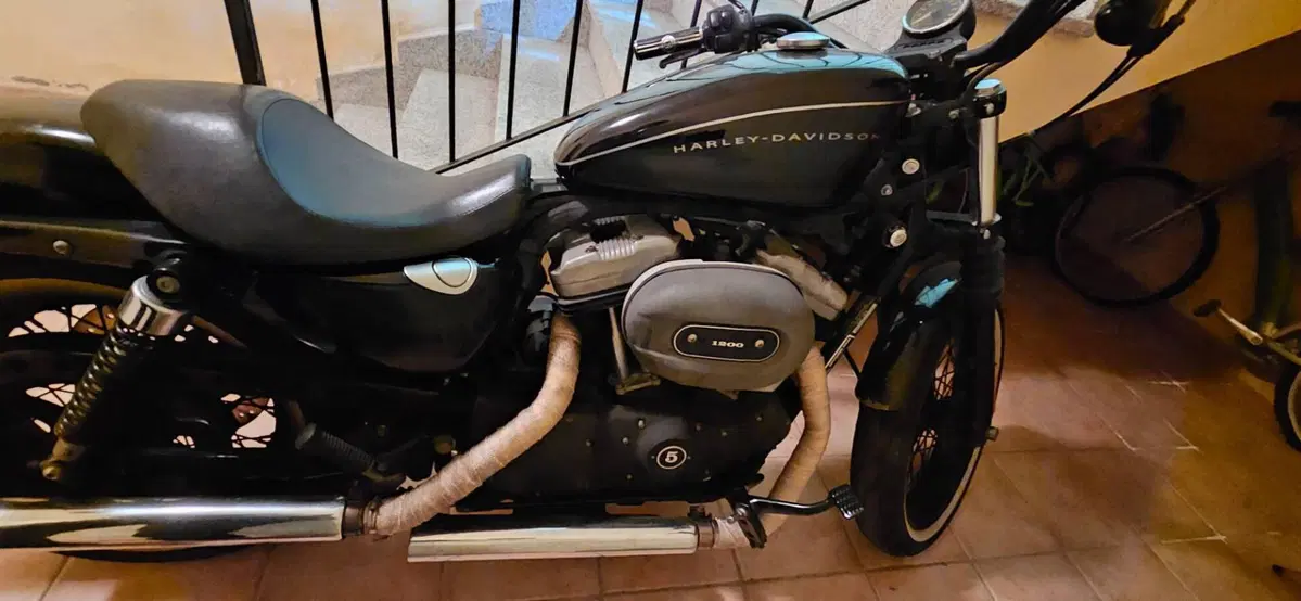 Harley-Davidson 1200 Roadster (2006 - 08) - XL 1200R (10)