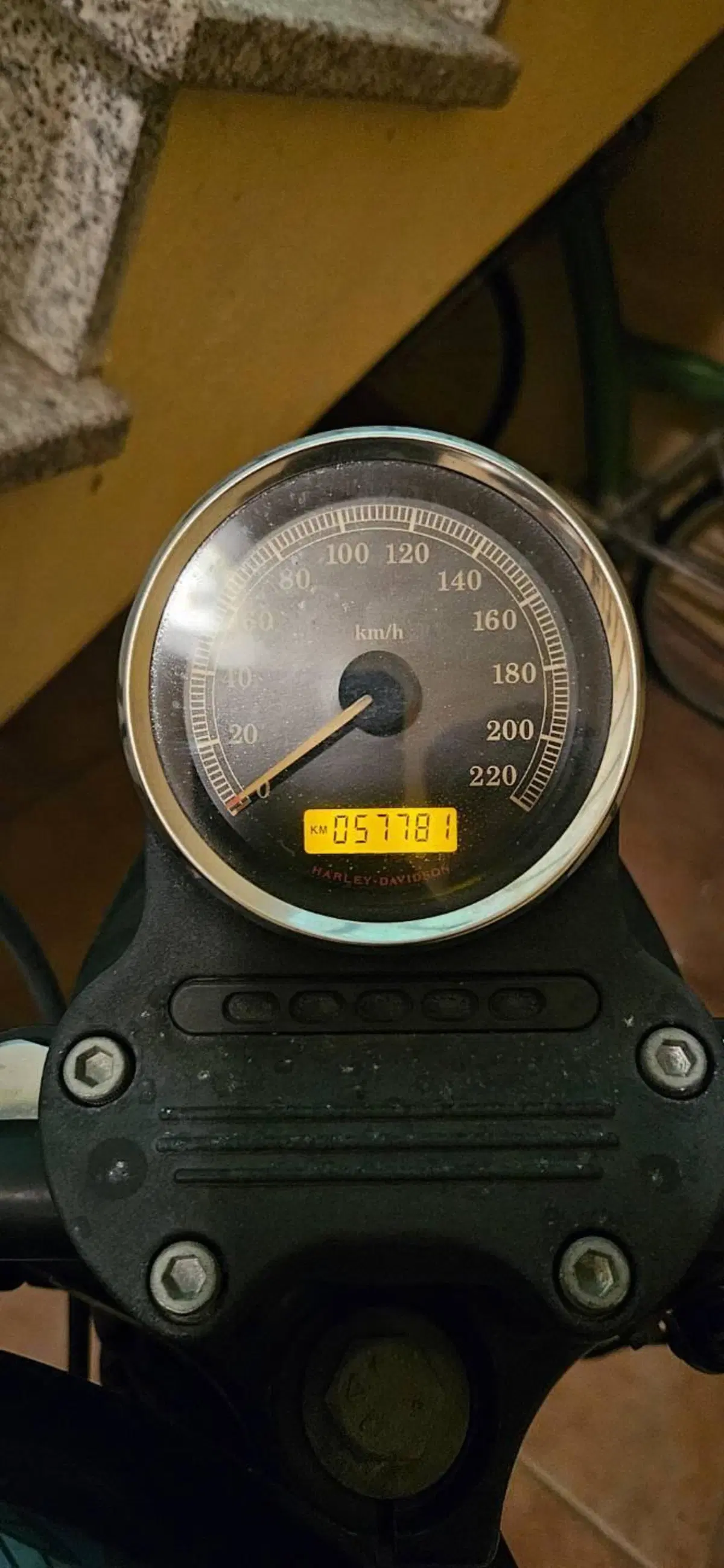 Harley-Davidson 1200 Roadster (2006 - 08) - XL 1200R (11)