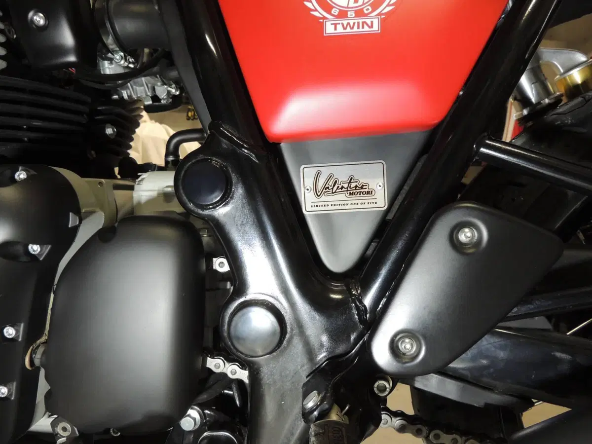 Royal Enfield Continental GT 650 (2019 - 20) (11)