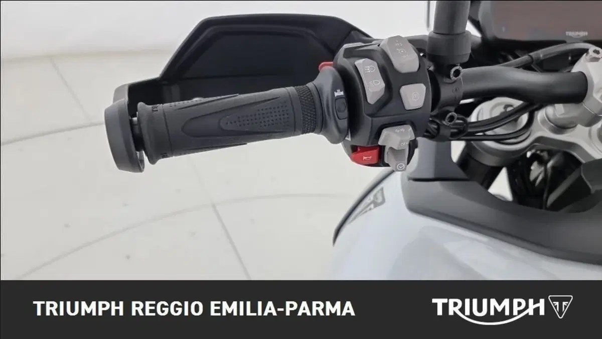 Triumph Tiger 900 Alpine Special Edition (2026) (10)