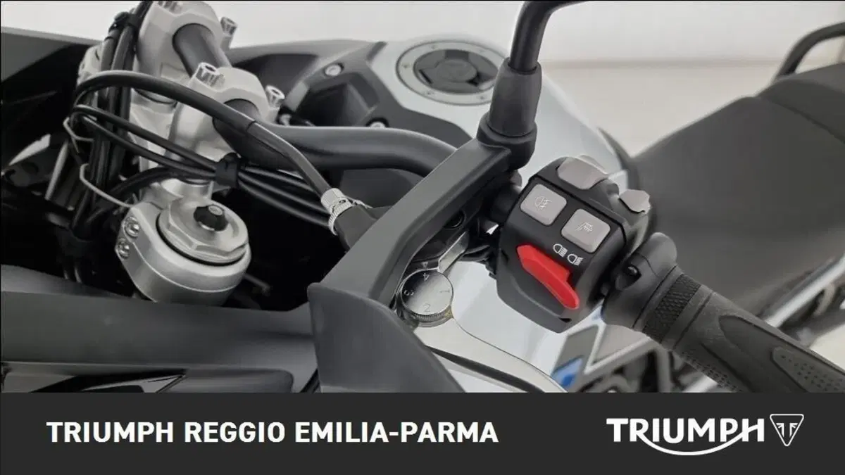 Triumph Tiger 900 Alpine Special Edition (2026) (11)
