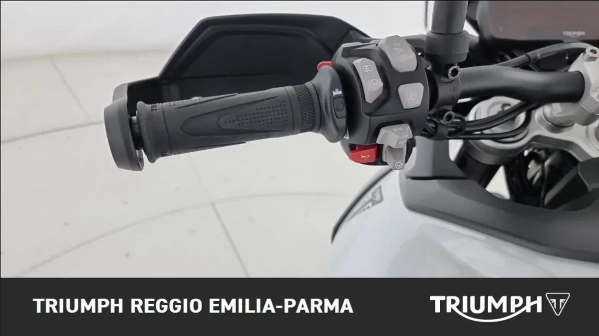 Triumph Tiger 900 Alpine Special Edition (2026) (10)