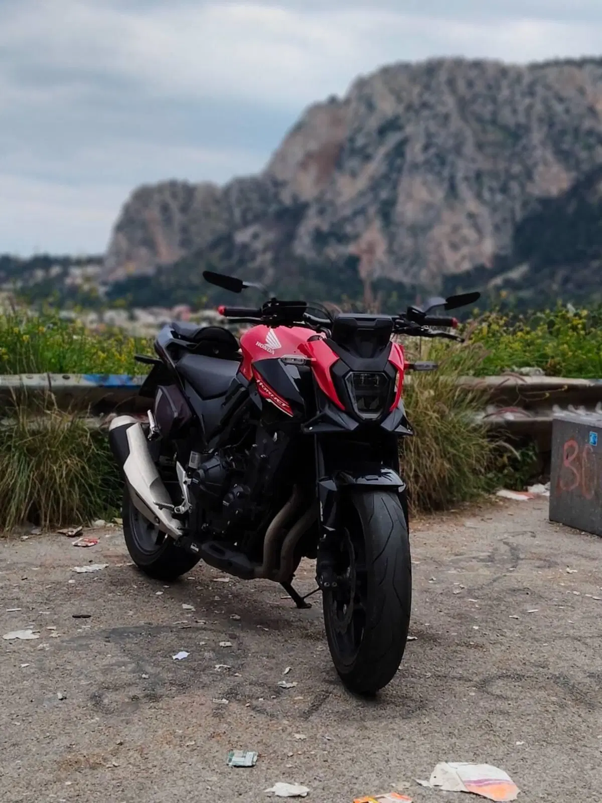 Honda CB 500 Hornet (2024 - 25) (2)