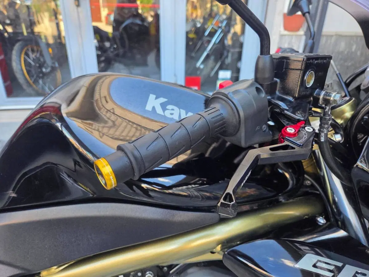 Kawasaki ER-6N (2006 - 09) (3)