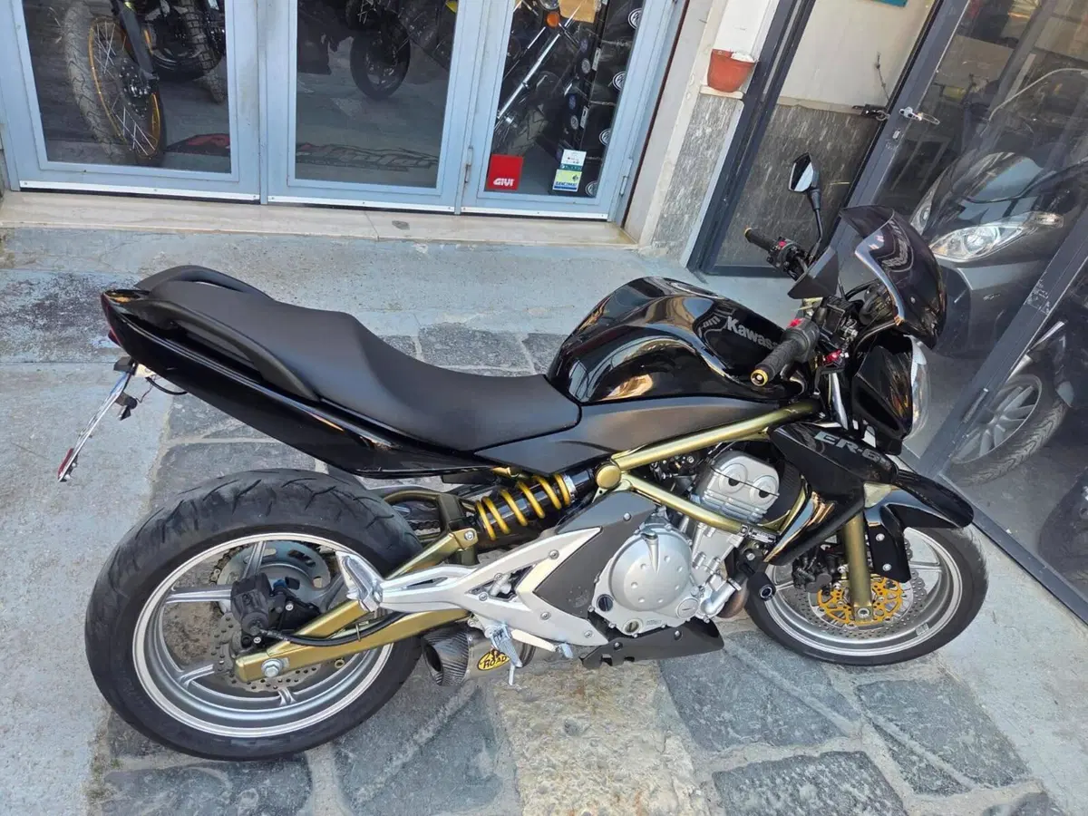 Kawasaki ER-6N (2006 - 09) (4)