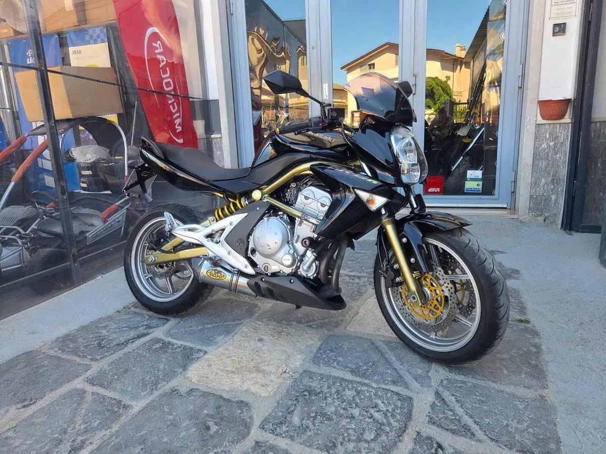 Kawasaki ER-6N (2006 - 09) (5)