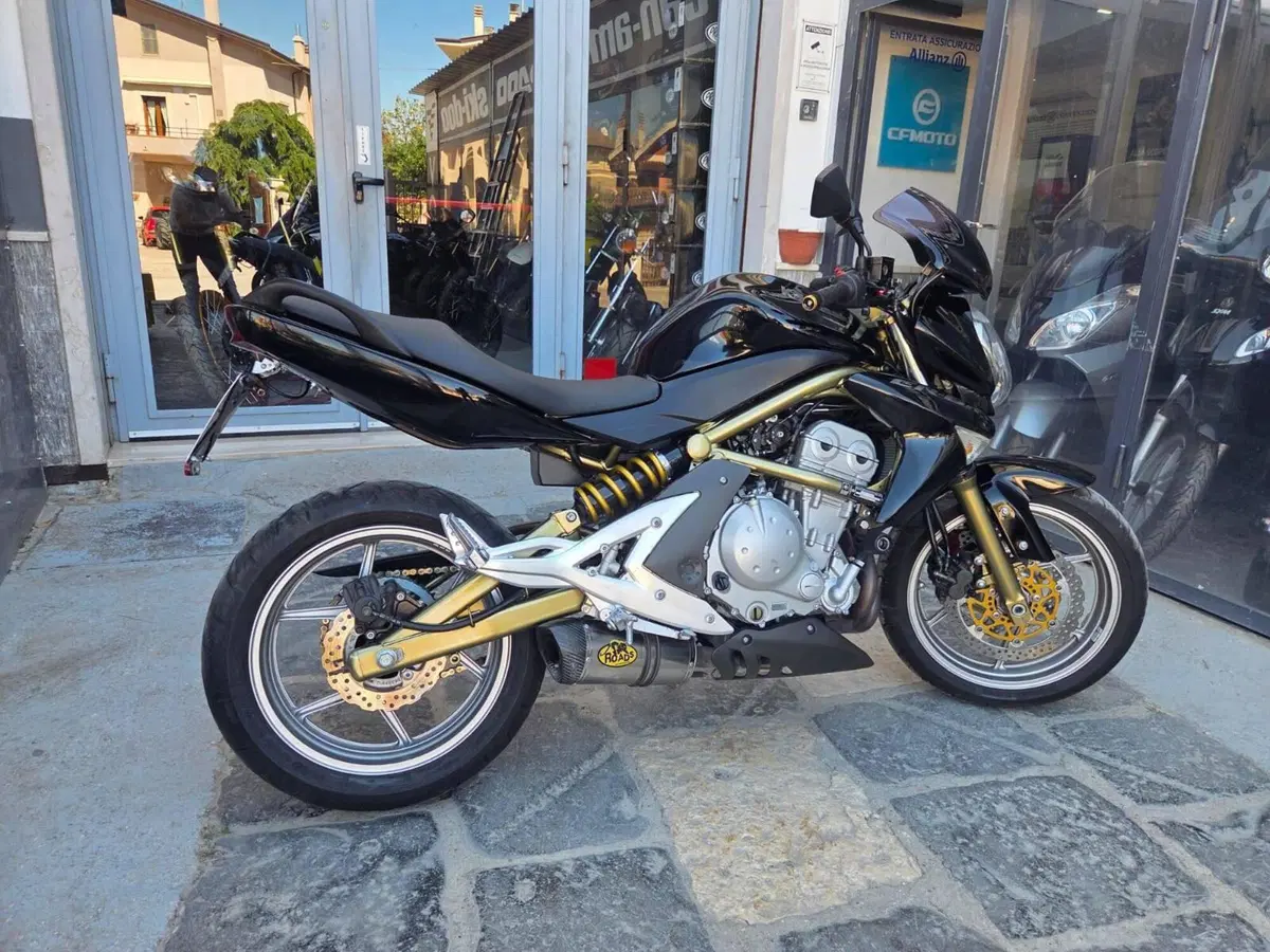 Kawasaki ER-6N (2006 - 09) (6)
