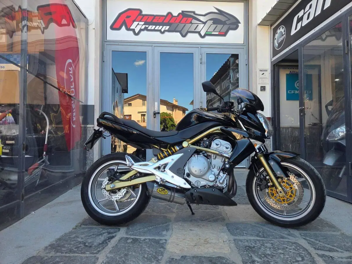 Kawasaki ER-6N (2006 - 09) (2)