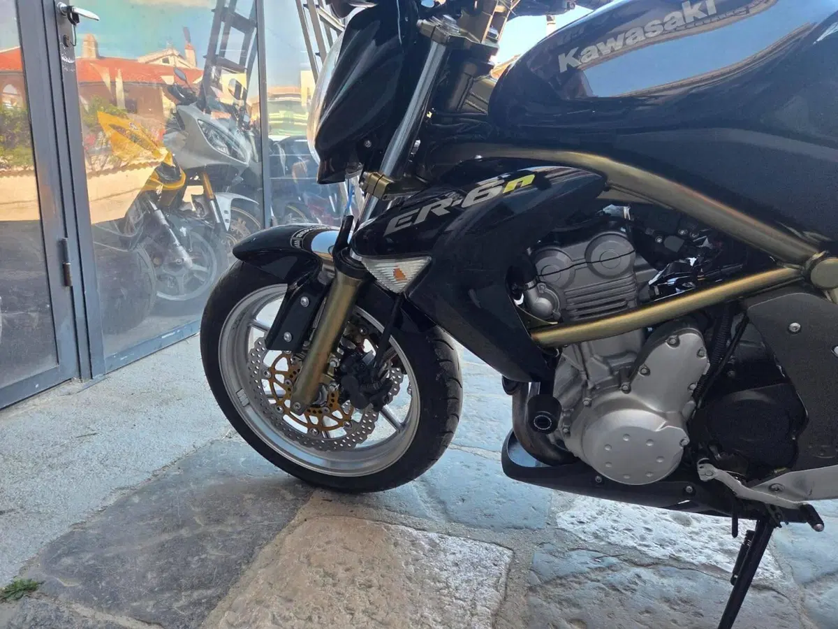 Kawasaki ER-6N (2006 - 09) (8)