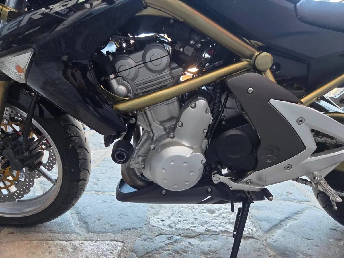 Kawasaki ER-6N (2006 - 09) (10)