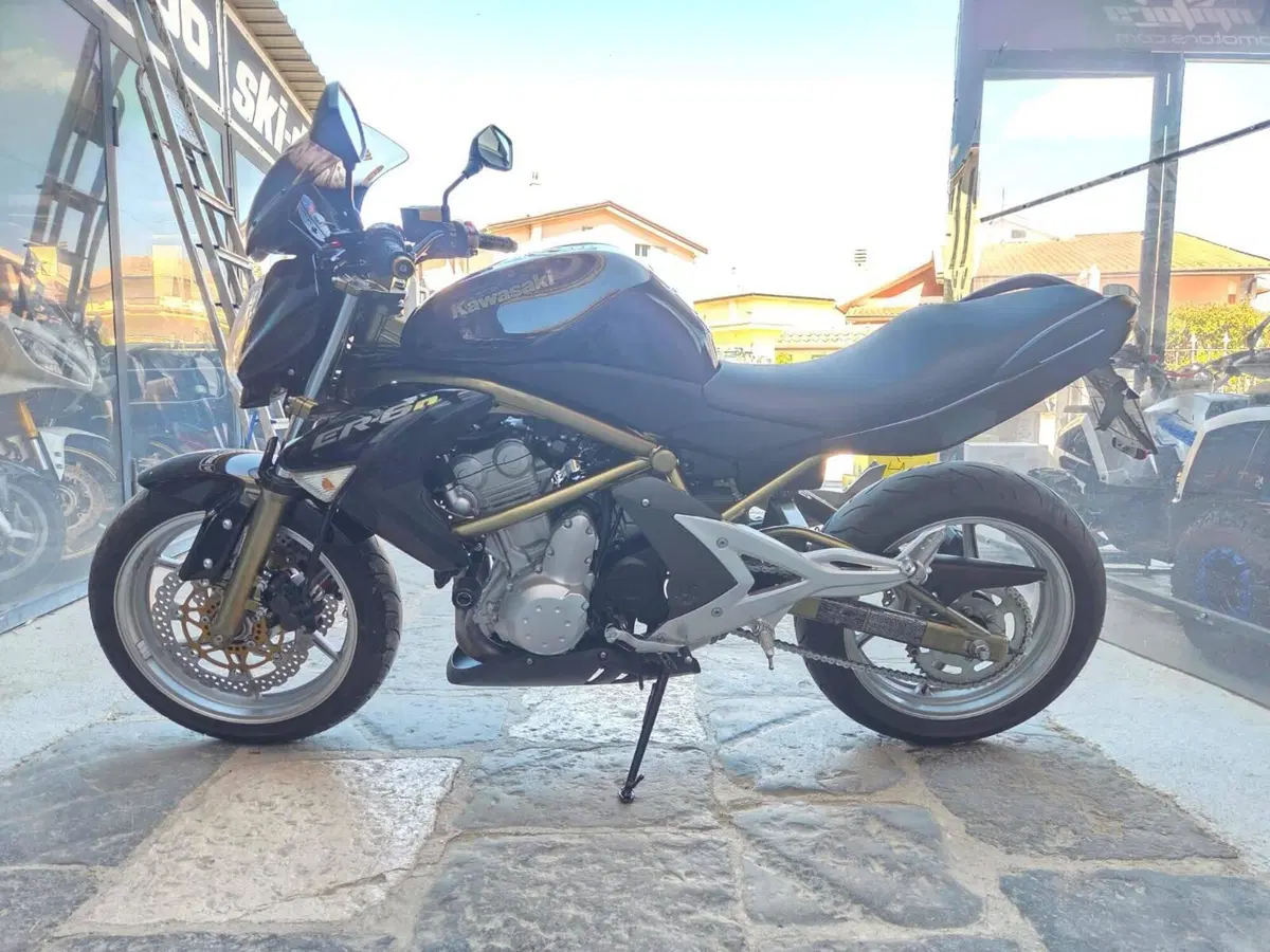 Kawasaki ER-6N (2006 - 09) (7)