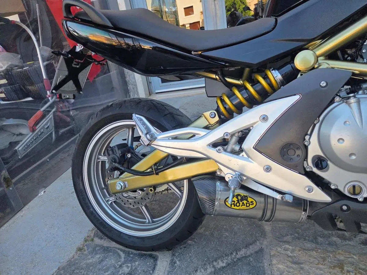 Kawasaki ER-6N (2006 - 09) (12)