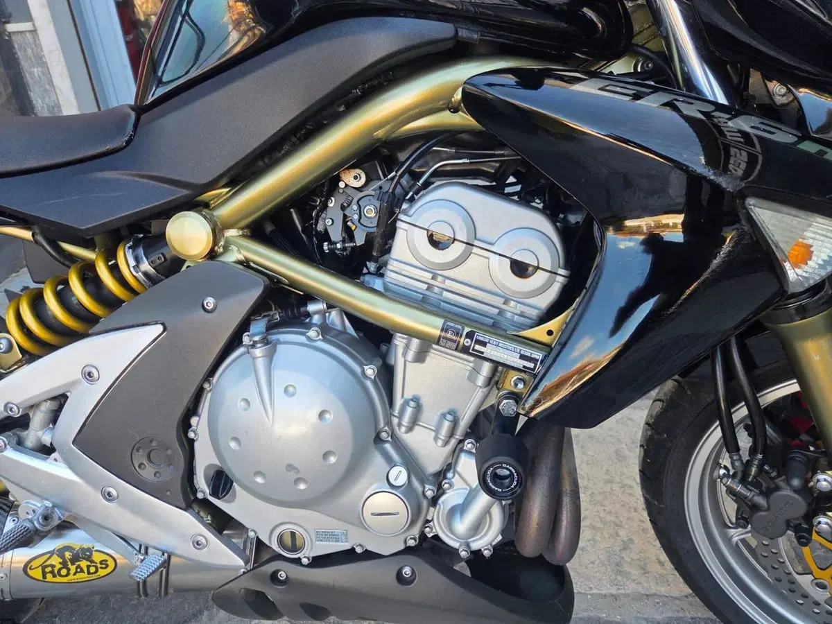 Kawasaki ER-6N (2006 - 09) (11)