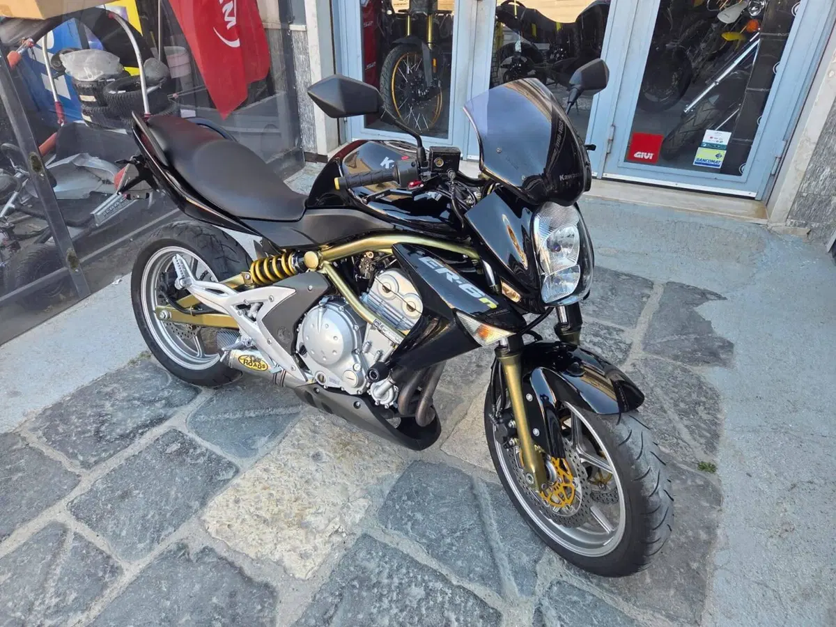 Kawasaki ER-6N (2006 - 09) (13)