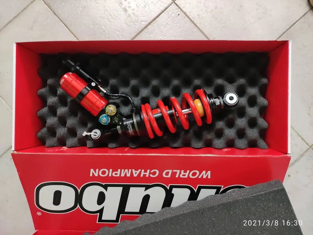 Ducati Panigale V4 1100 (2021) (9)