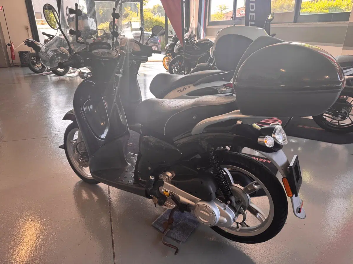 Aprilia Scarabeo 50 4t 4V (2009 - 17) (3)