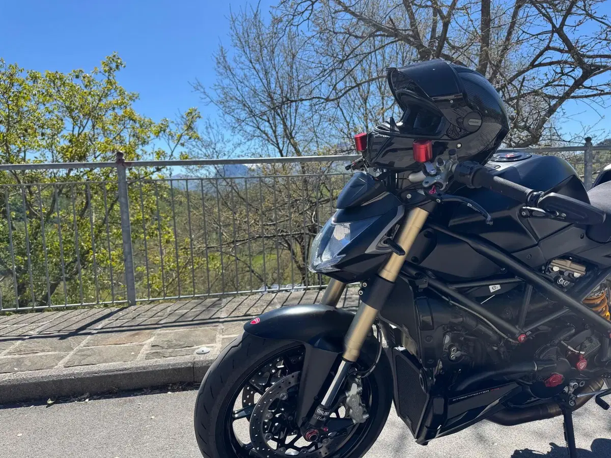 Ducati Streetfighter 848 (2011 - 15) (13)