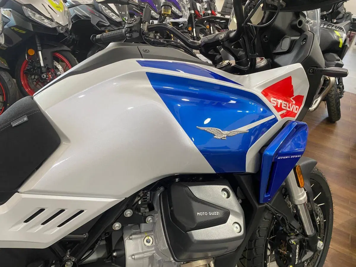Moto Guzzi Stelvio Duecento Tributo (2025 - 26) (7)