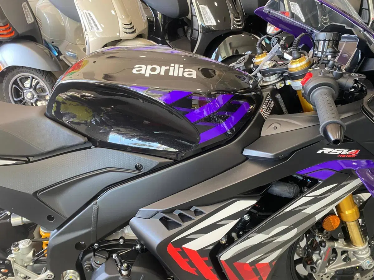 Aprilia RSV4 1100 Factory (2025 - 26) (8)