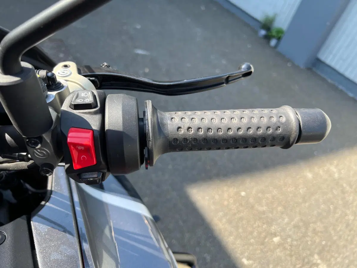 Moto Guzzi V100 Mandello S (2022 - 24) (13)