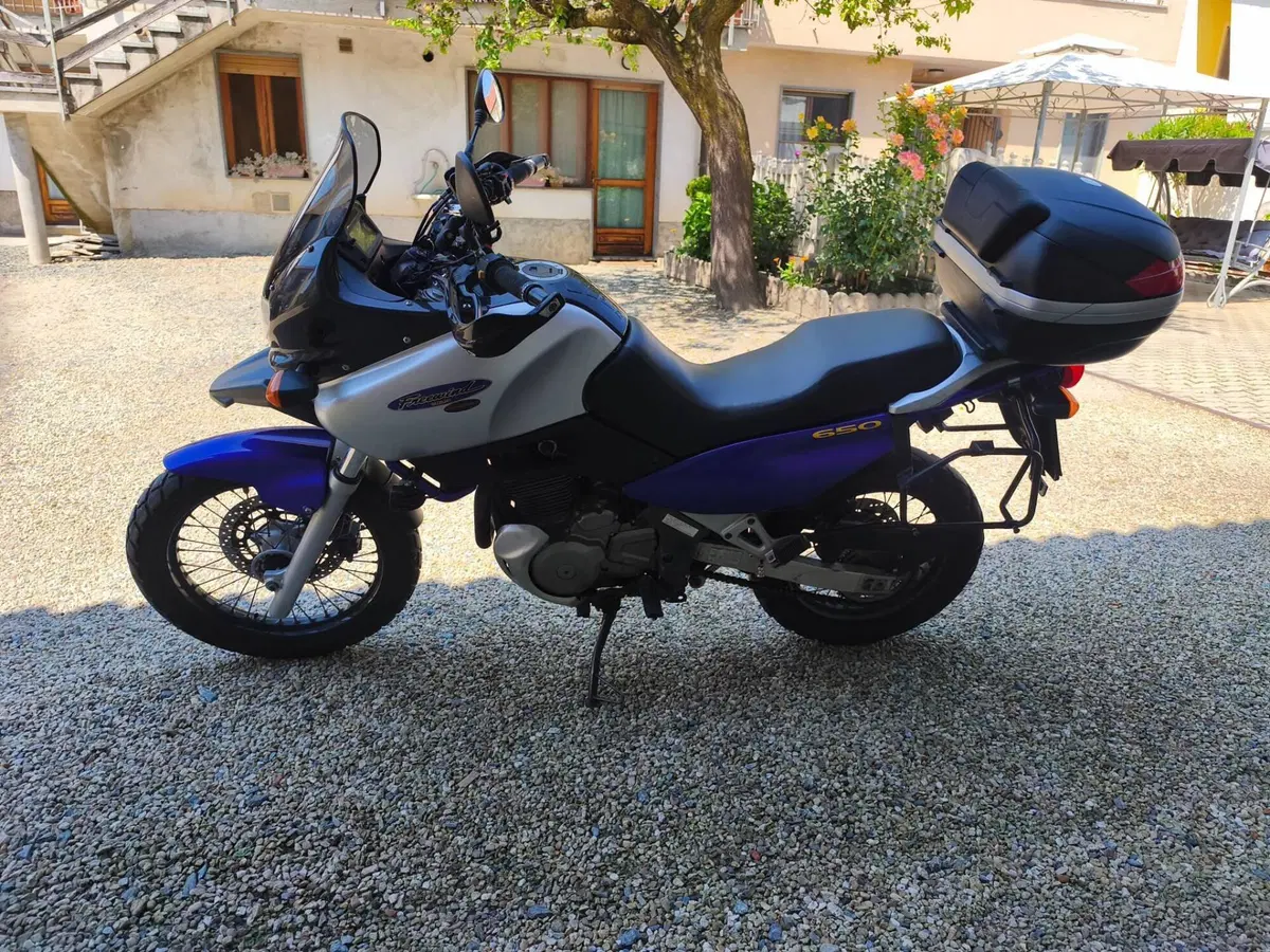 Suzuki XF 650 Dep (1997 - 99) (4)