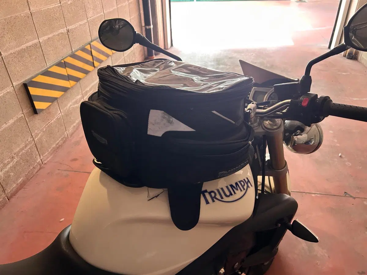 Triumph Street Triple R (2009 - 12) (4)