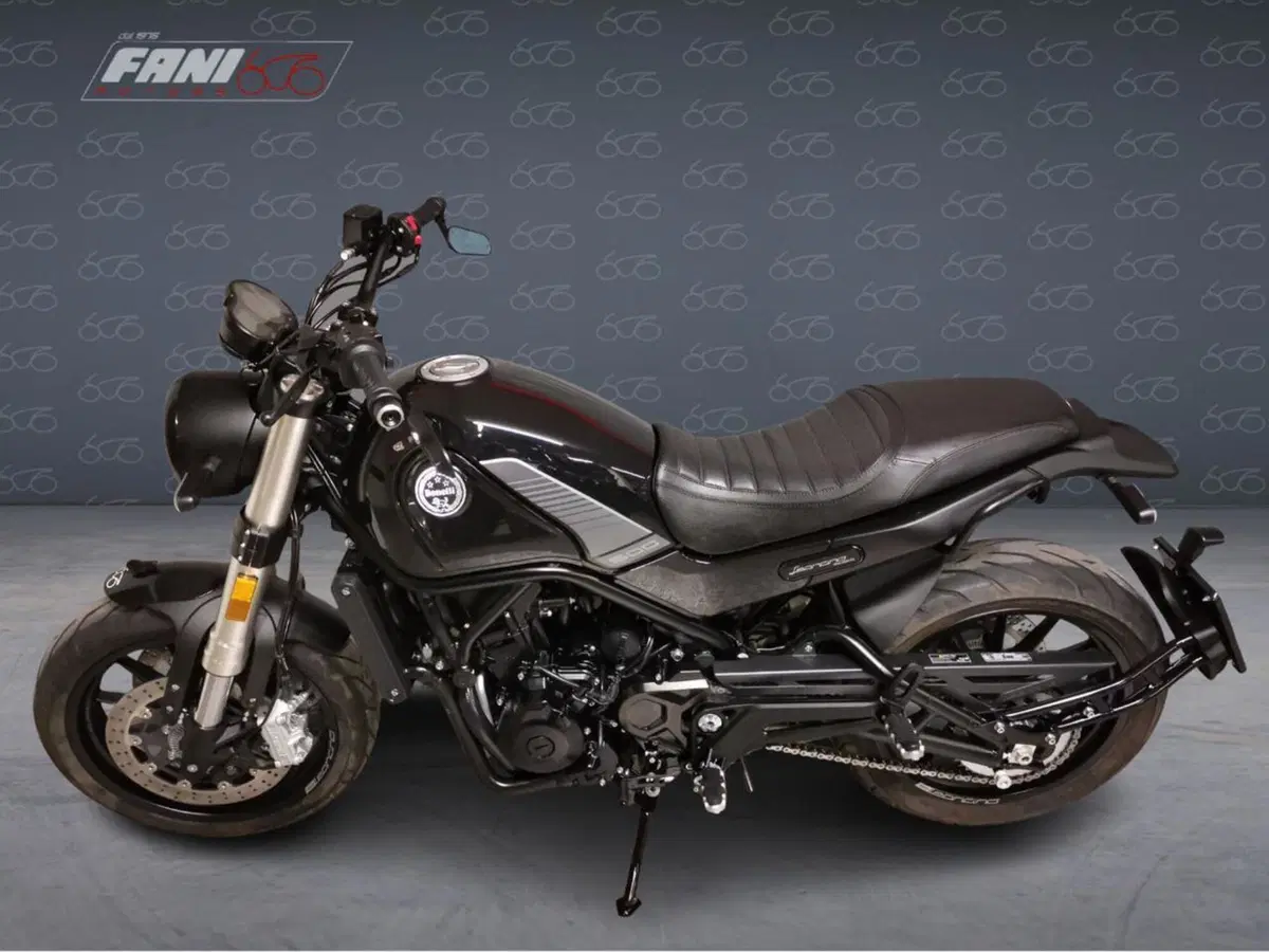 Benelli Leoncino 500 (2021 - 25) (3)
