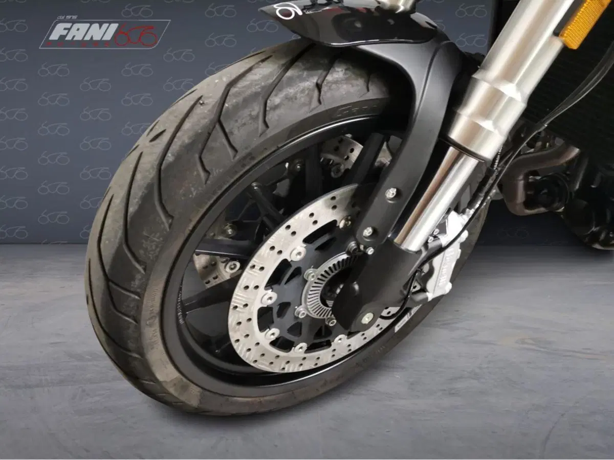 Benelli Leoncino 500 (2021 - 25) (5)