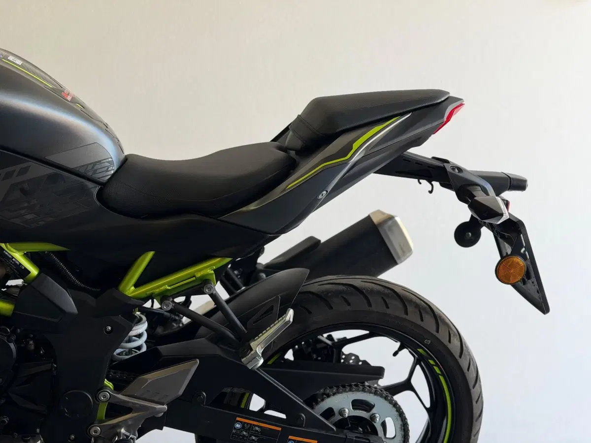 Kawasaki Z 125 (2021 - 24) (4)