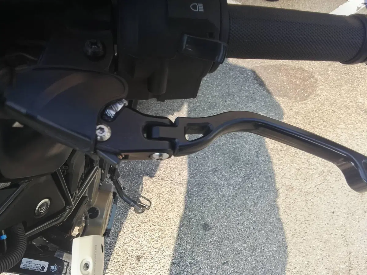 Husqvarna Svartpilen 401 (2021 - 23) (5)
