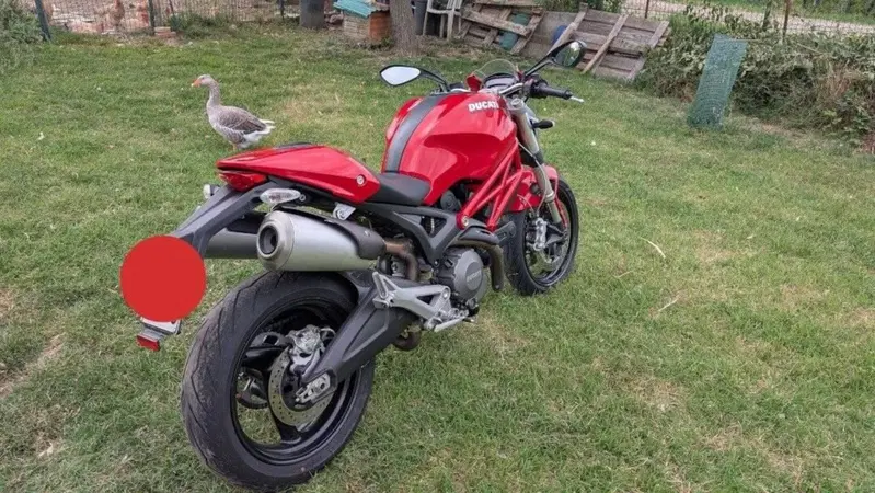 Ducati Monster 696 Plus (2007 - 14) (3)