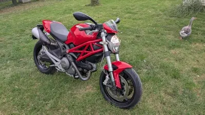 Ducati Monster 696 Plus (2007 - 14) usata