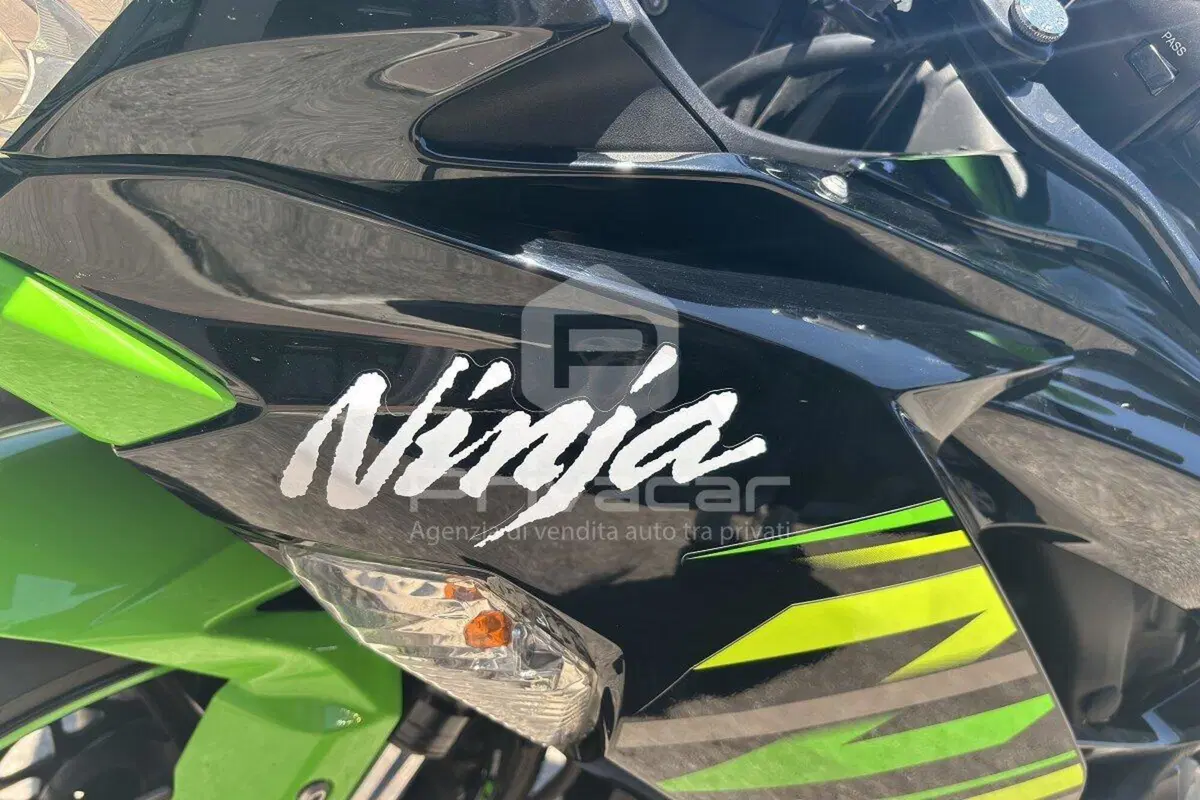 Kawasaki Ninja 636 ZX-6R KRT (2019 - 20) (14)