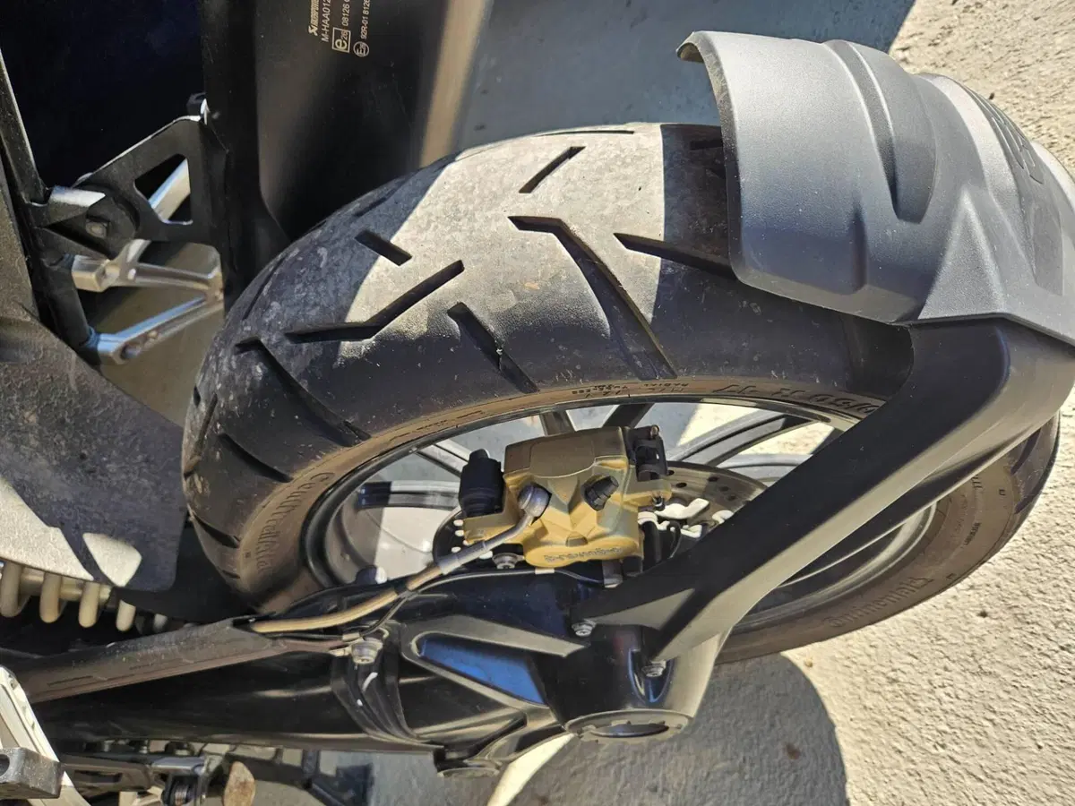 Bmw R 1250 GS (2019 - 20) (4)