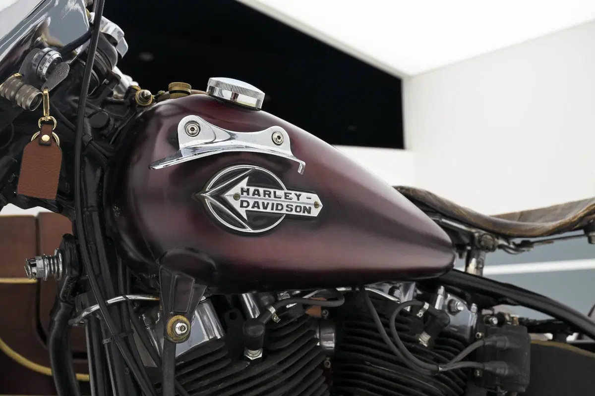 Harley-Davidson Electra Glide 1200 (17)