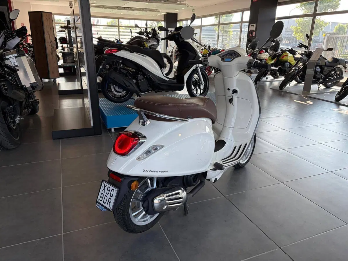 Vespa Primavera 50 4T (2018 - 20) (5)
