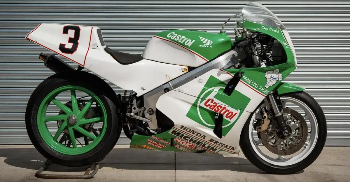 Iconic Auctioneers: asta di Kempton Park
