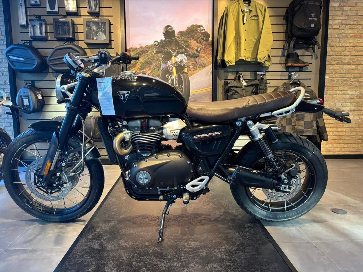 Triumph Scrambler 1200 X (2024 - 26) (2)