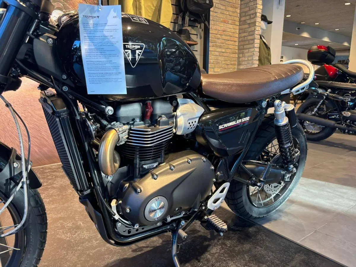 Triumph Scrambler 1200 X (2024 - 26) (3)