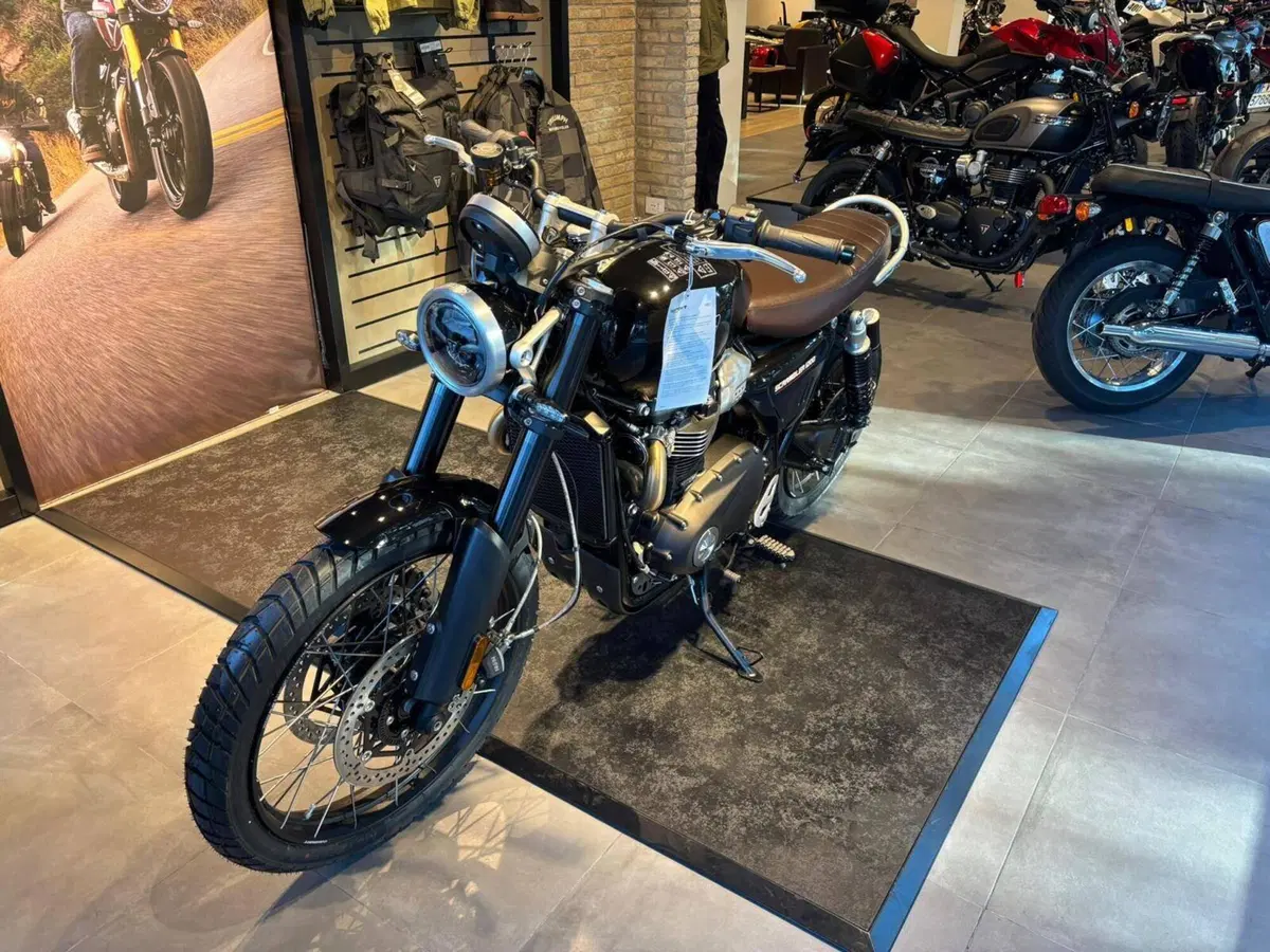 Triumph Scrambler 1200 X (2024 - 26) (4)