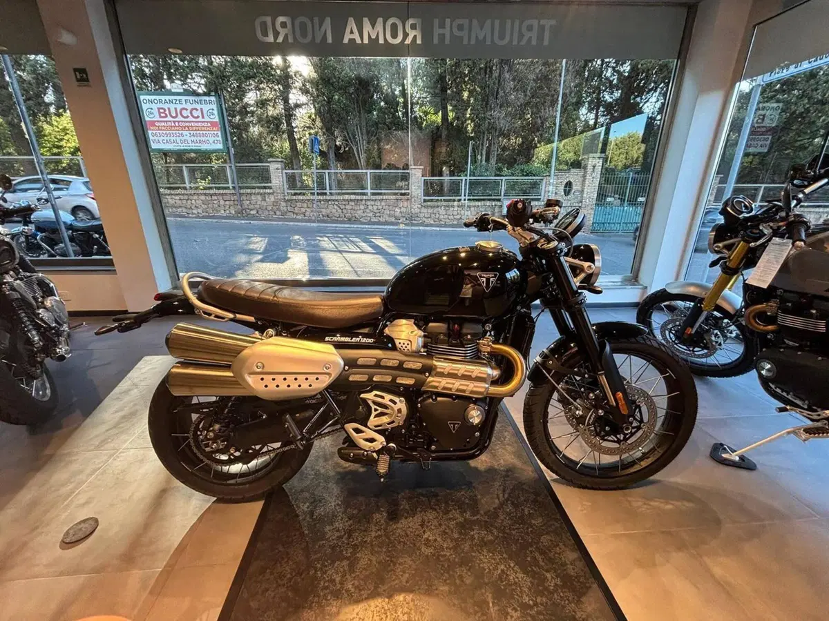 Triumph Scrambler 1200 X (2024 - 26) (6)
