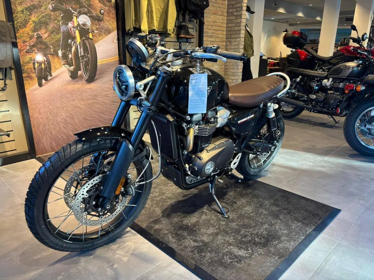 Triumph Scrambler 1200 X (2024 - 26)