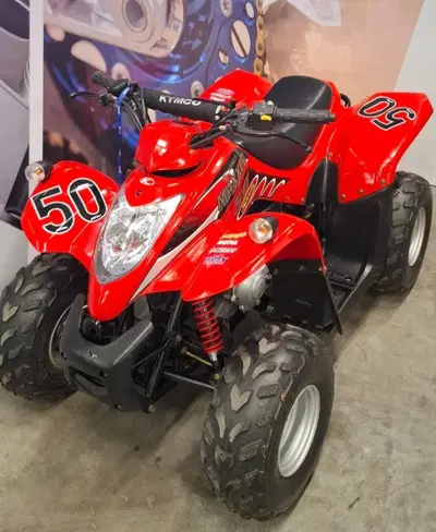 Kymco Maxxer 50 (2007 - 14) usata