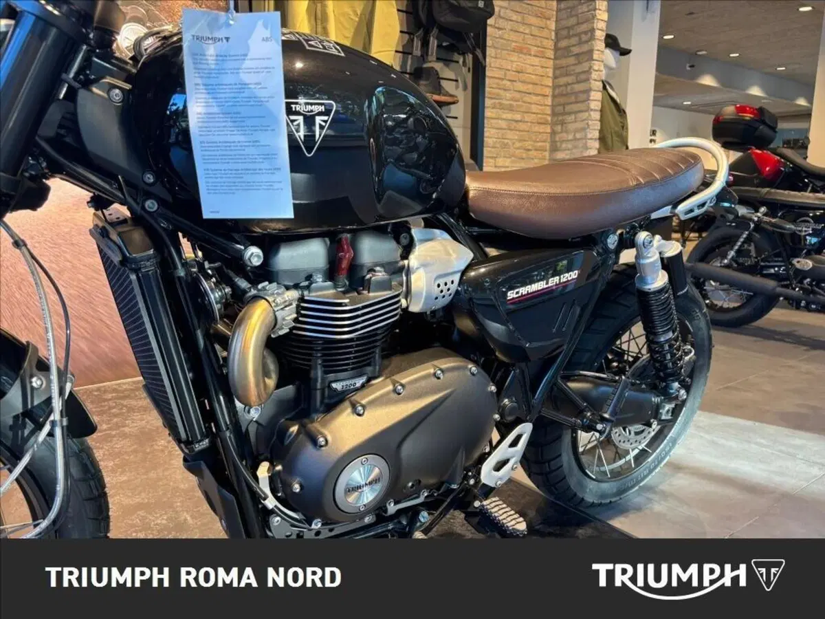 Triumph Scrambler 1200 X (2024 - 26) (3)