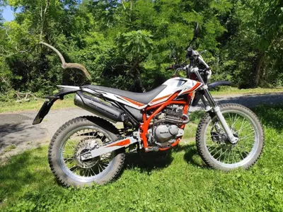 Betamotor Alp 200 (2018 - 20) usata