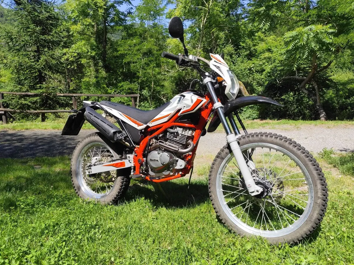 Betamotor Alp 200 (2018 - 20) (2)
