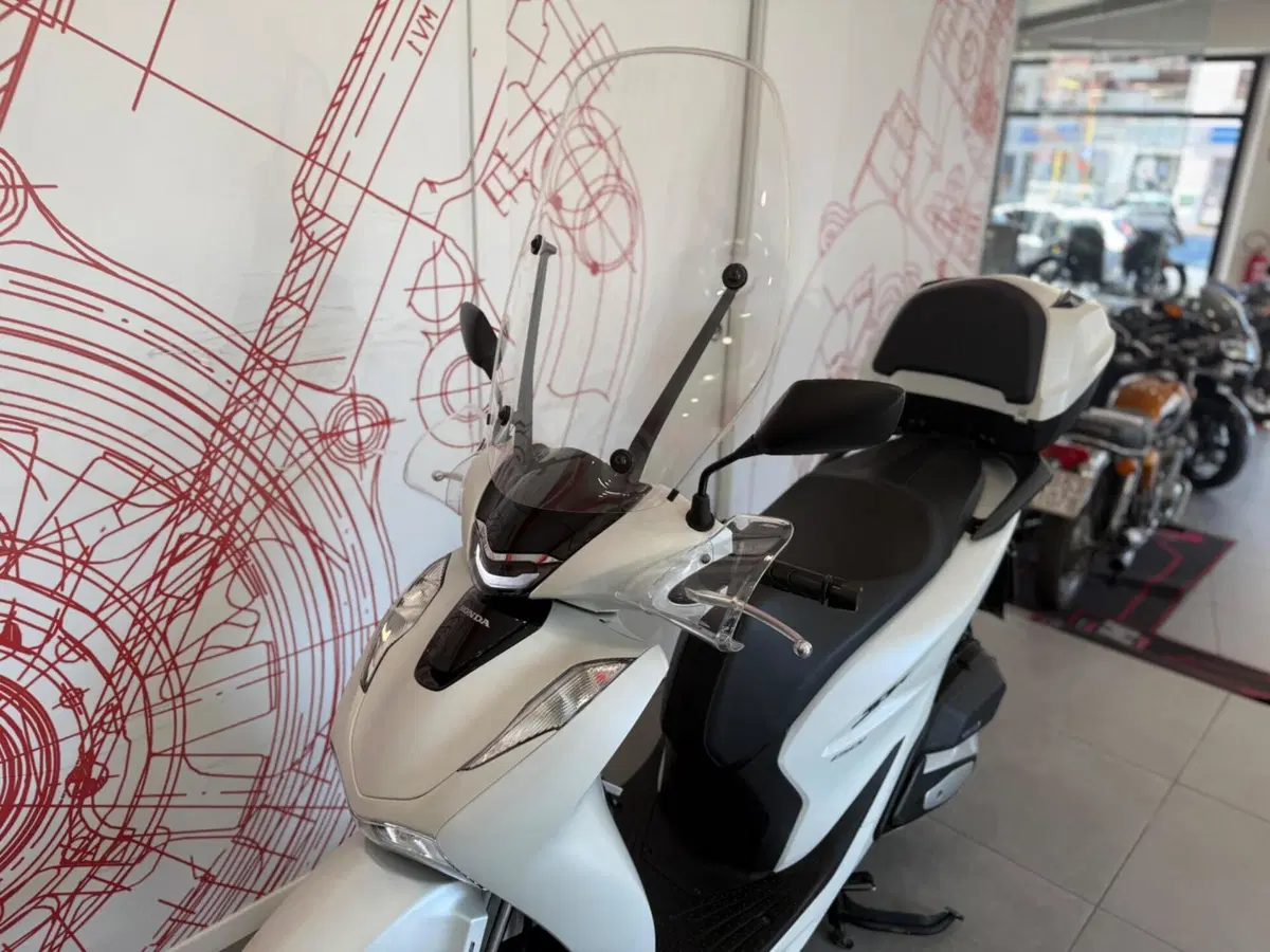 Honda SH 150i Sport (2024 - 25) (14)
