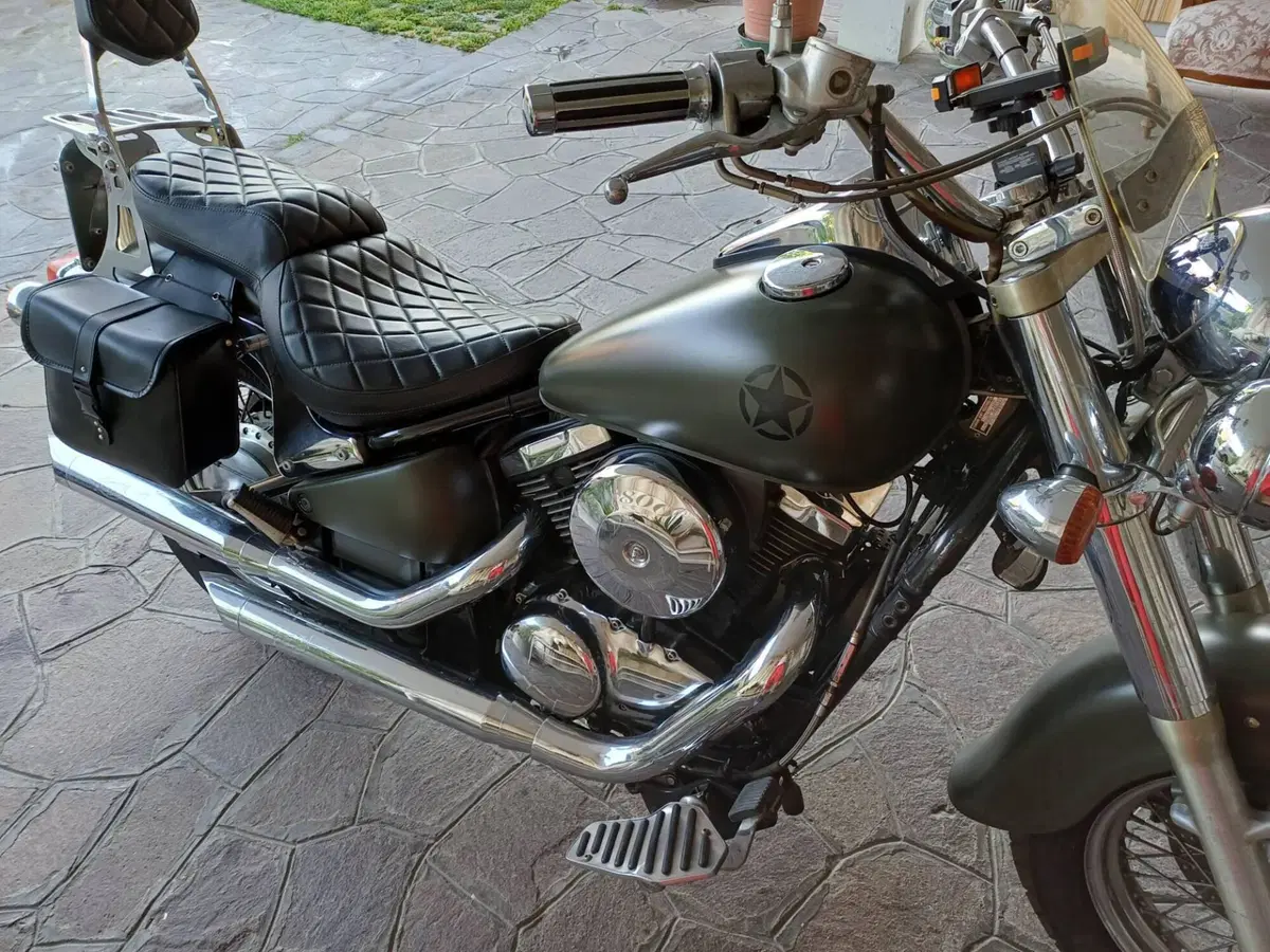 Kawasaki VN 800 Classic (2001 - 06)